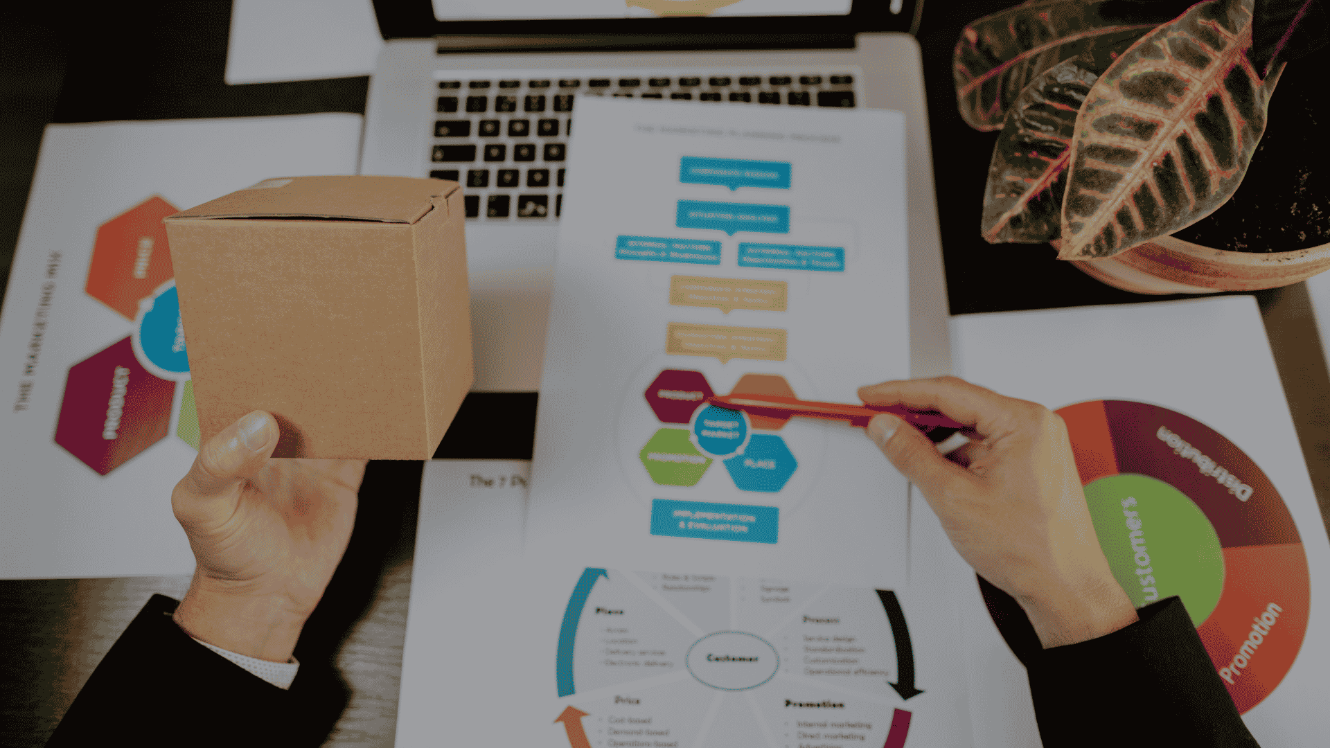 Business professional analyzing order management system best practices